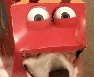 Average Mcdonalds Kid Meme