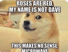This Makes No Sense Funny Dog Meme